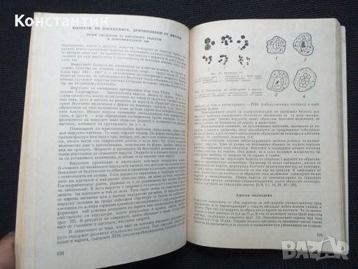 Биологична борба с неприятелите на растенията, снимка 2 - Специализирана литература - 40821247