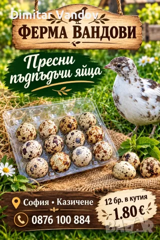 Пъдпъдъчи и кокоши яйца , снимка 4 - Кокошки и пуйки - 56244172