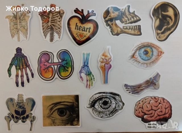 Stickers/Лепенки Punk Rock & Rock n Roll Bands (за 10 бр.), снимка 2 - Други - 44685906