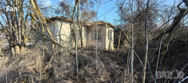 Къща с двор 1243кв.м в с.Хаджи Димитър на 10км.от морето. , снимка 7 - Къщи - 53356721