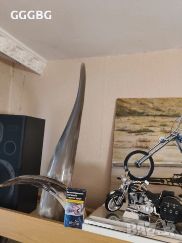 Биволски рог., снимка 2 - Други ценни предмети - 52687245