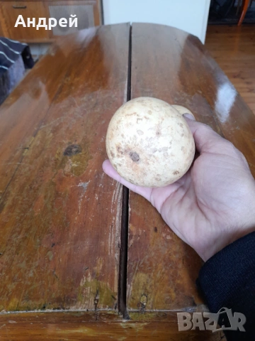 Стара кратуна #4, снимка 3 - Други ценни предмети - 53466690