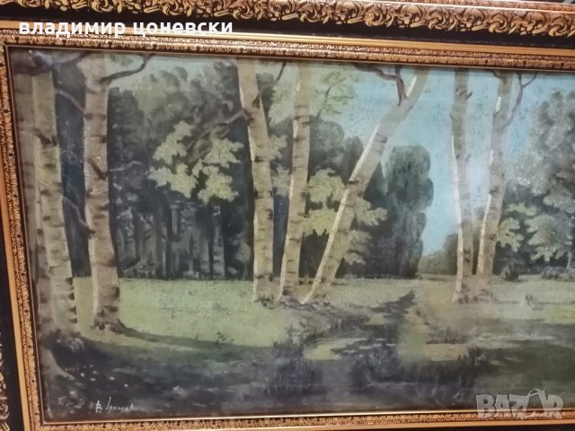 Стара руска маслена картина Брезова гора от 1950 г, масло на платно, живопис, снимка 5 - Картини - 35851522