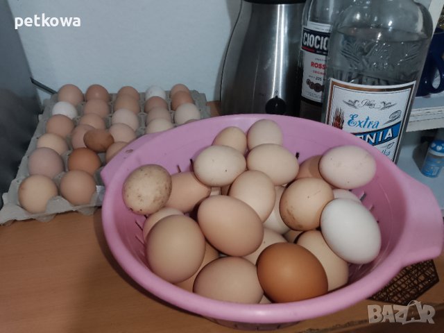 Яйца от свободно отглеждани кокошки, снимка 1 - Домашни продукти - 44393797
