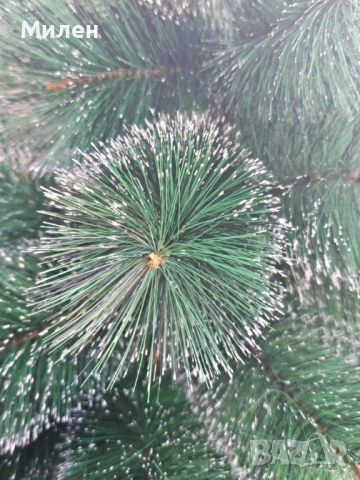 Коледна елха с бели заскрежени връхчета. С пластмасова стойка за 60 и 90см, всички останали са с мет, снимка 5 - Декорация за дома - 52337673