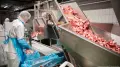 МЕСОПРЕРАБОТВАТЕЛНА ФАБРИКА – ХОЛАНДИЯ, снимка 2