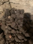 Въглища-брикети, снимка 2
