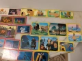 Сет от 92 лепенки за албуми на Panini Disney- Aladdin, The Hunchback of Notre Dame, Mulan Pocahontas, снимка 6