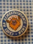 стари значки СДС, снимка 4