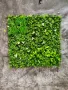 Изкуствено озеленяване по проект , снимка 3
