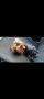  Разплод Йоркширски териер , снимка 1 - Йоркширски териер - 44270990