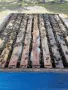  Пчелни отводки на 5п.2025г, снимка 2