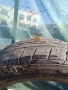 Гуми 225/55 R18 Continental, снимка 3