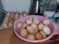Яйца от свободно отглеждани кокошки