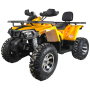 Max Motors ATV 200cc бензиново АТВ 200 кубика - Shark PRO