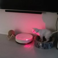 Интерактивен котешки нашийник -Smart Laser с лазерен проектор,USB+акумулаторна батерия, снимка 13 - За котки - 40975851