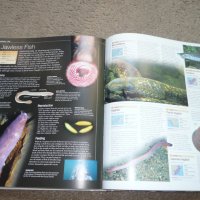 Oceans The Definitive Visual Guide 2015, снимка 10 - Енциклопедии, справочници - 42212354