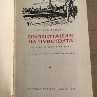 Възпитание на чувствата История на един млад човек -Гюстав Флобер, снимка 2 - Други - 35670845