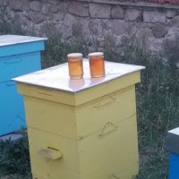 Пчелен МЕД , снимка 4 - Пчелни продукти - 41698859