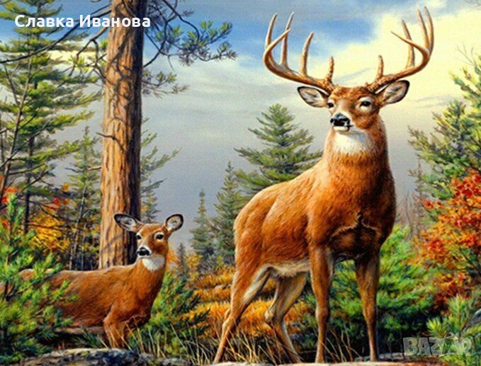 Диамантен гоблен за изработка /частично/- 40*30, снимка 1