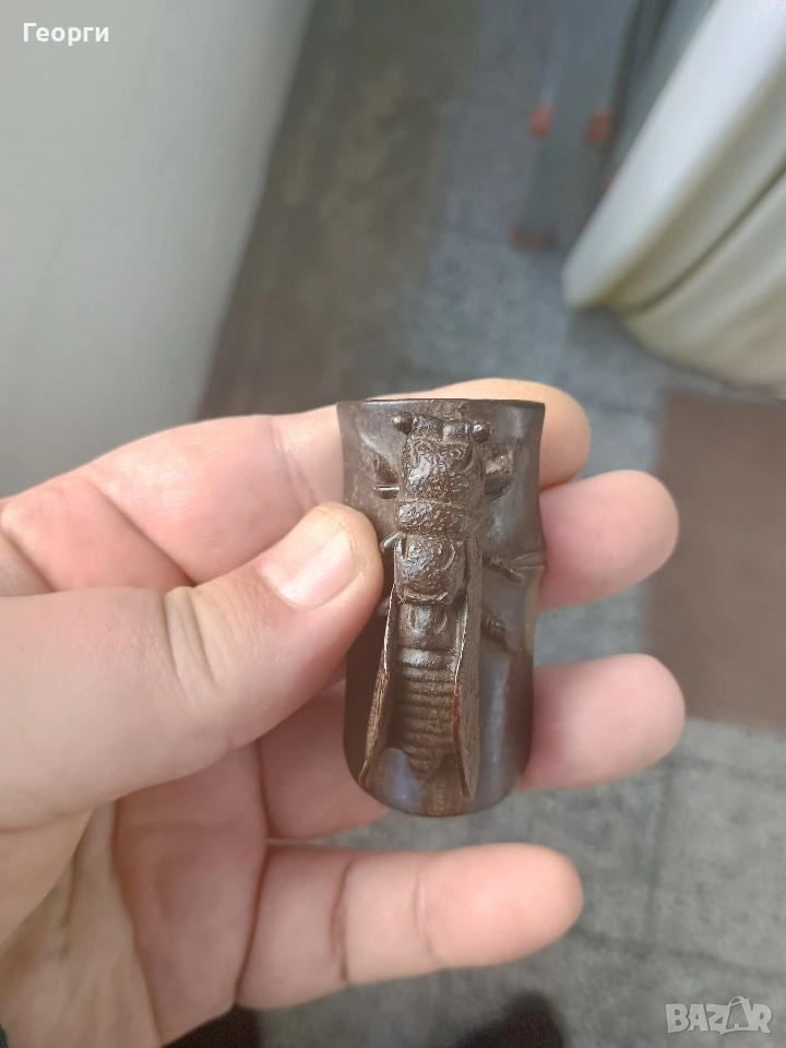 Бронзова цикада, снимка 1