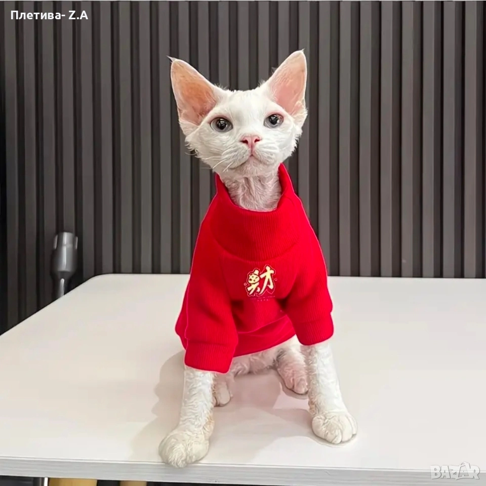 Червена блузка за котка/малко куче – размер XL, снимка 1