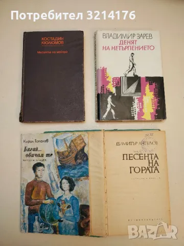 Денят на нетърпението - Владимир Зарев