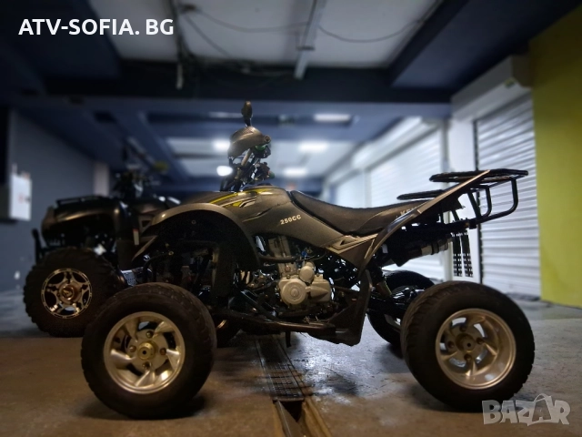 shinerai 250, снимка 14 - Мотоциклети и мототехника - 51917501