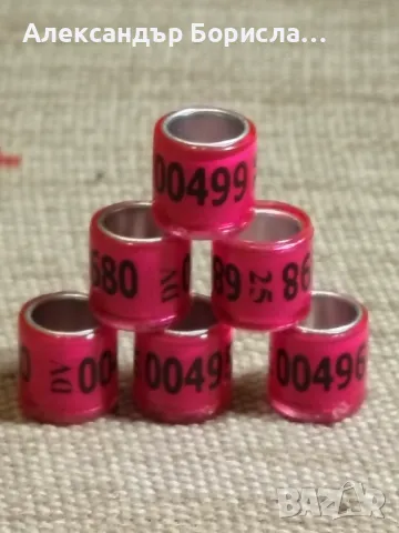 Пожизнени пръстени за 2025 г., снимка 11 - За птици - 48763435