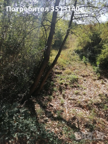 Парцел с. Панчарево, София, снимка 4 - Парцели - 51669556