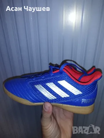 Adidas Predator