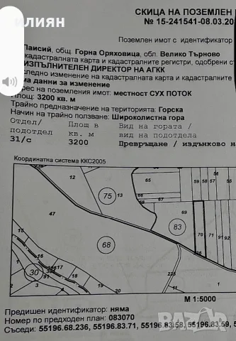 продавам широколистна гора 