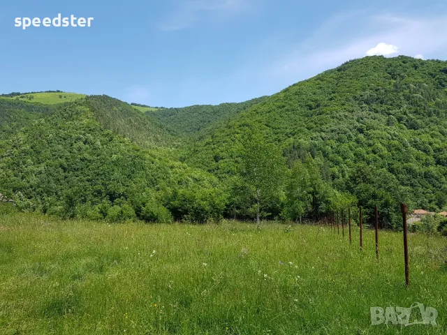 Рибарица 3000 кв.м. парцел и изграден до кота 0 стр., снимка 8 - Парцели - 50045804