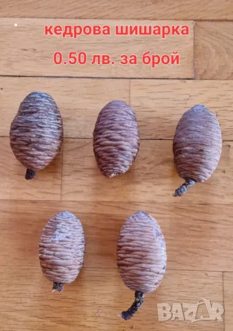 Материали за декорация и дървени шайби , снимка 9 - Декорация за дома - 38644717