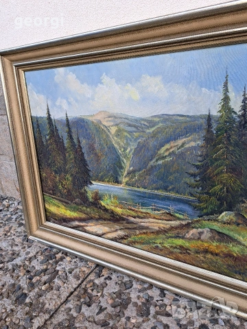 картина планински пейзаж маслени бои върху платно , снимка 3 - Картини - 53861518