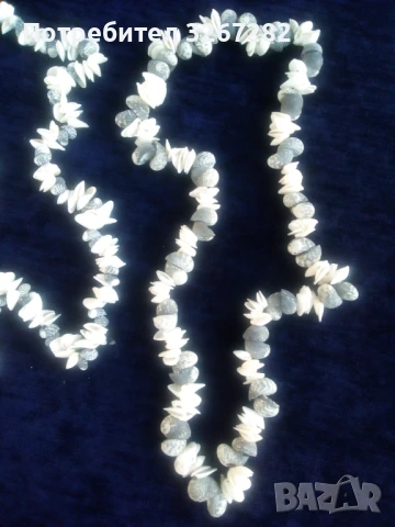 Гердани,Кубински,Редки Морски Раковини, снимка 6 - Колиета, медальони, синджири - 51310916