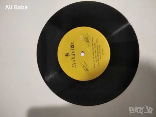 Малка плоча 2522 Йована Пандурович 