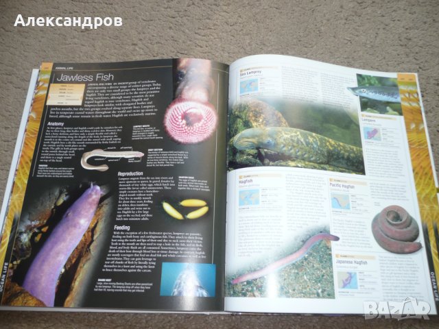 Oceans The Definitive Visual Guide 2015, снимка 10 - Енциклопедии, справочници - 42212354