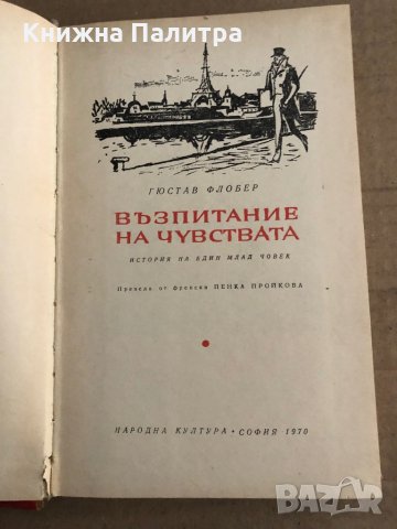 Възпитание на чувствата История на един млад човек -Гюстав Флобер, снимка 2 - Други - 35670845