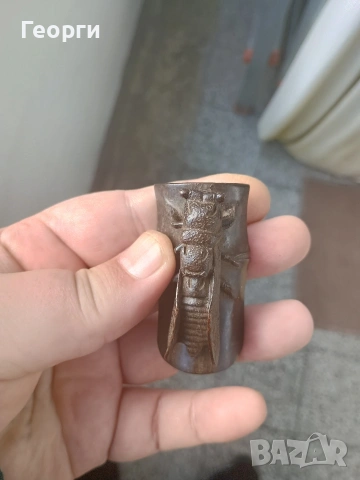 Бронзова цикада