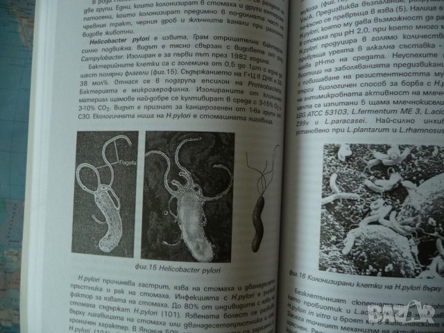 Пробиотици Минало, настояще и бъдеще Христо Чомаков здраве храна, снимка 3 - Специализирана литература - 41319746