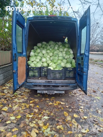 Продавам зеле, снимка 4 - Други - 52505486