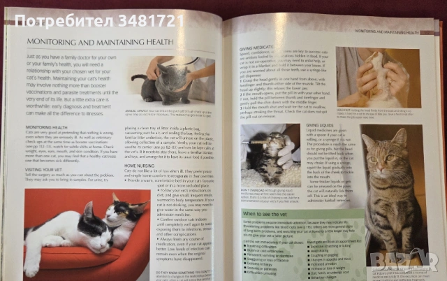 Енциклопедия на котките / Encyclopedia of Cats, снимка 6 - Енциклопедии, справочници - 53748636