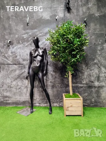 Изкуствени дървета и растения , снимка 18 - Изкуствени цветя - 48672514