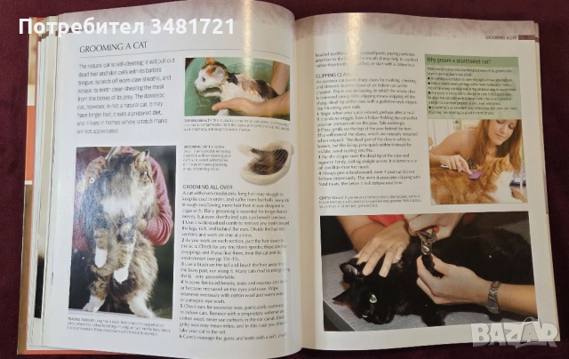 Енциклопедия на котките / Encyclopedia of Cats, снимка 5 - Енциклопедии, справочници - 53748636