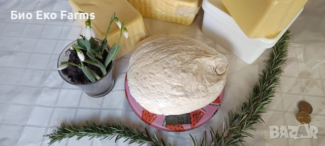 Домашно зряло краве сирене , зрял кашкавал , коприва , тесто, снимка 5 - Домашни продукти - 53220629