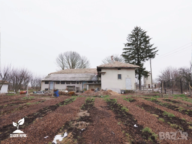 Широколистен чипс за градини, овошки и лехи – доставка с камион, снимка 7 - Тор и почвени смеси - 52252587