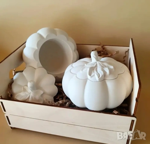 Молд бурканче тиква (2)