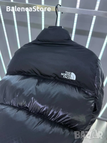 Зимно яке THE NORTH FACE , снимка 4 - Якета - 52431847