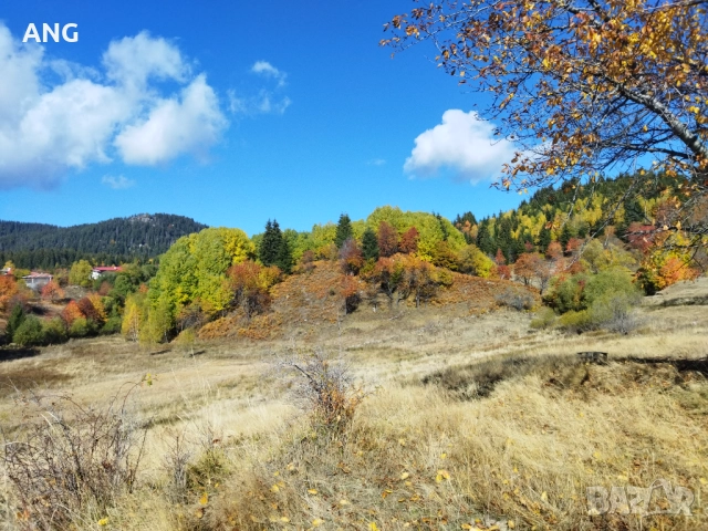 Продава парцел в Смолянски езера , снимка 5 - Парцели - 52178672